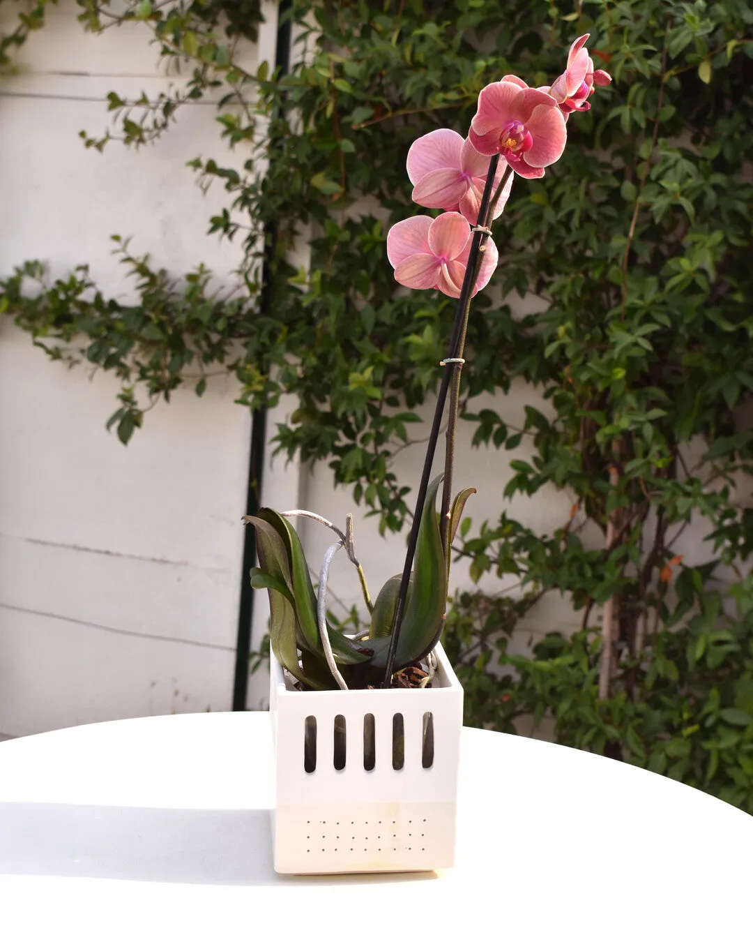 Breathable perforated ceramic Orchid pot