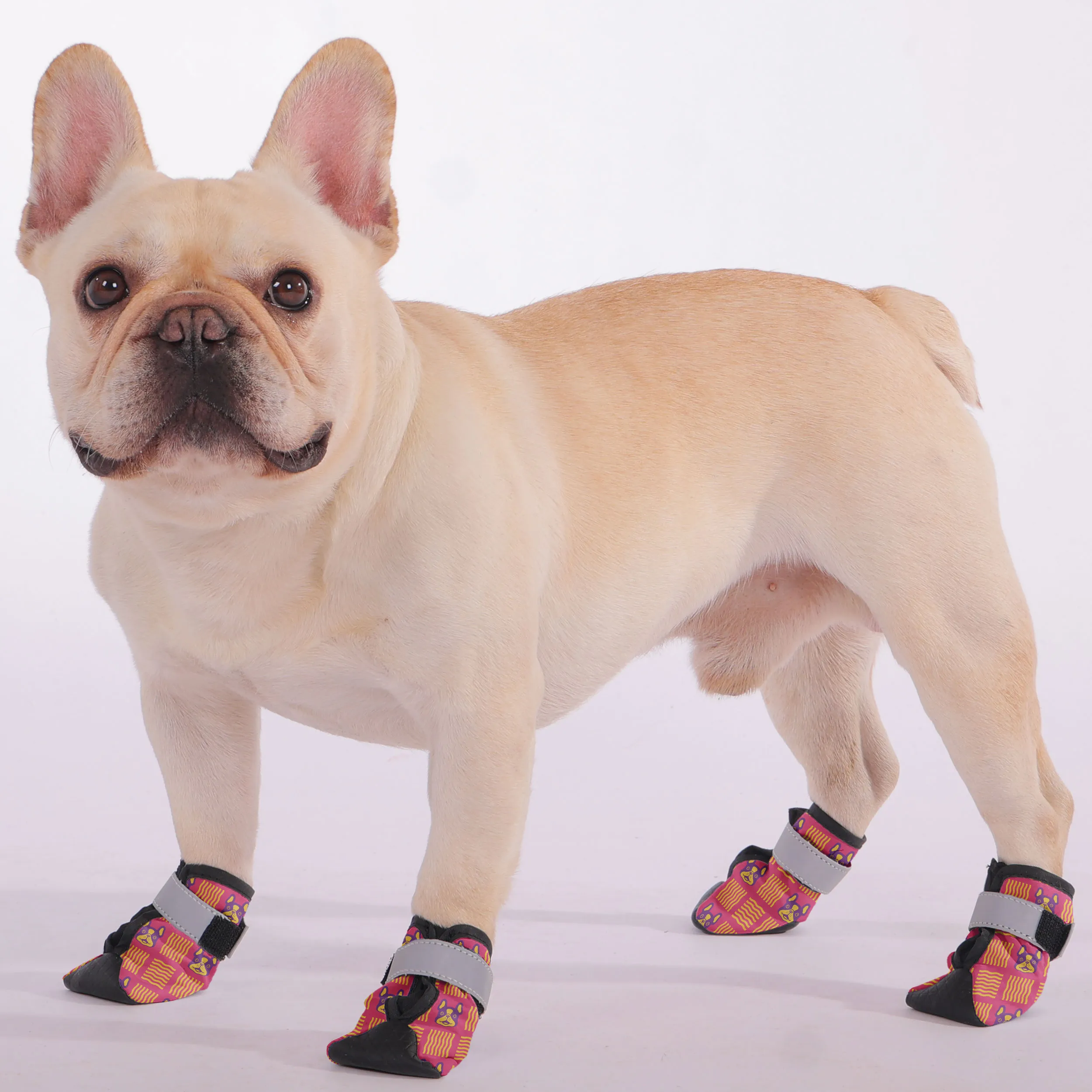 Willie - Premium Dog Socks & Boots for French Bulldogs
