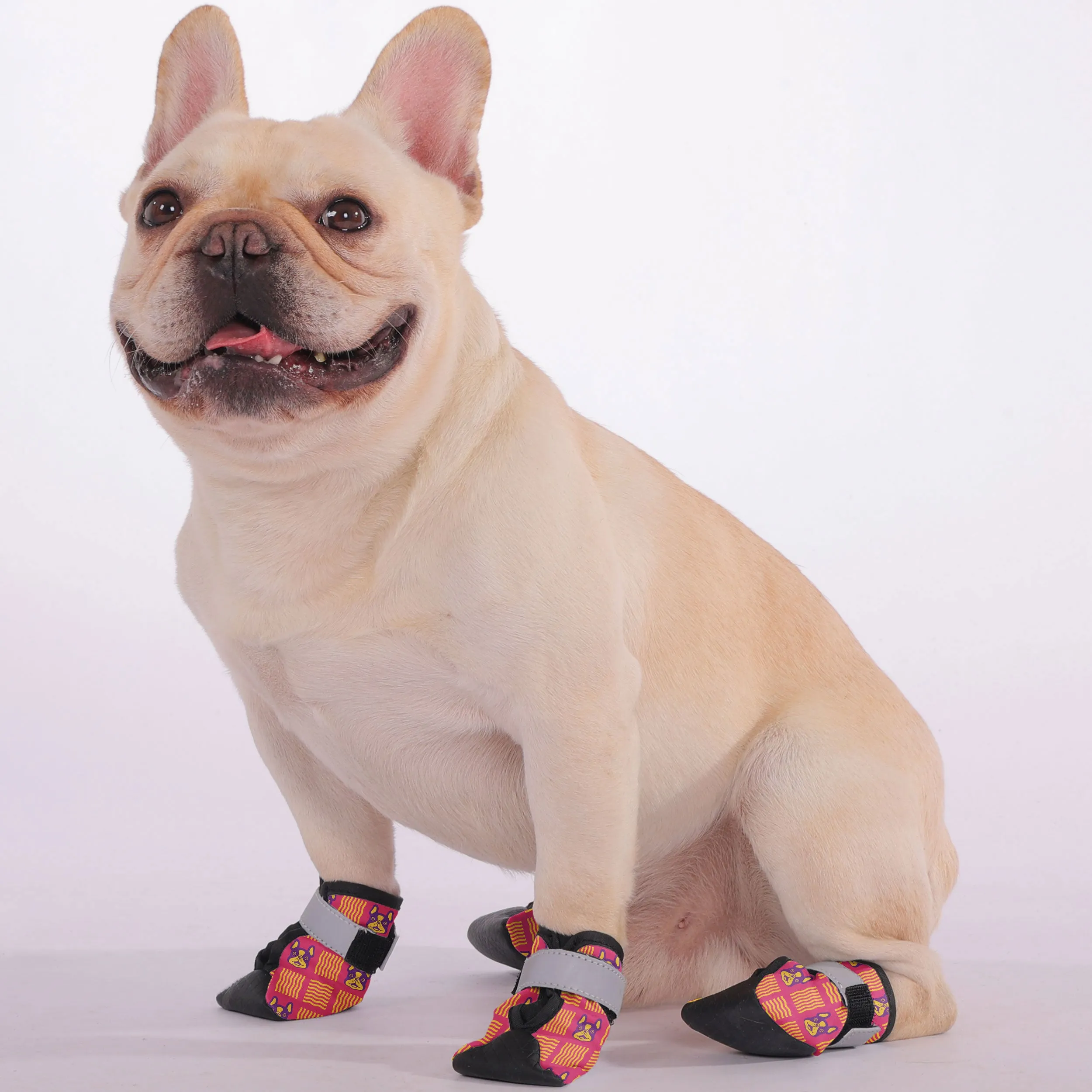 Willie - Premium Dog Socks & Boots for French Bulldogs